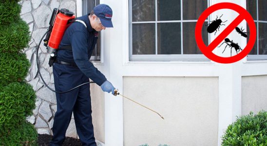 Akçadağ Akrep İlaçlama böcek ilaçlama ve haşere kontrolü — ilaclama-tr.com
